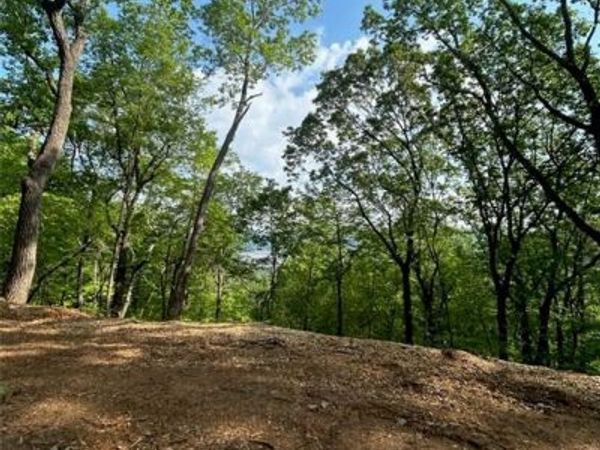 324 Adair Drive , Ranger, GA 30734