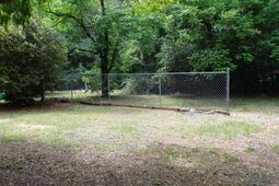 116 Davis Street  photo 4