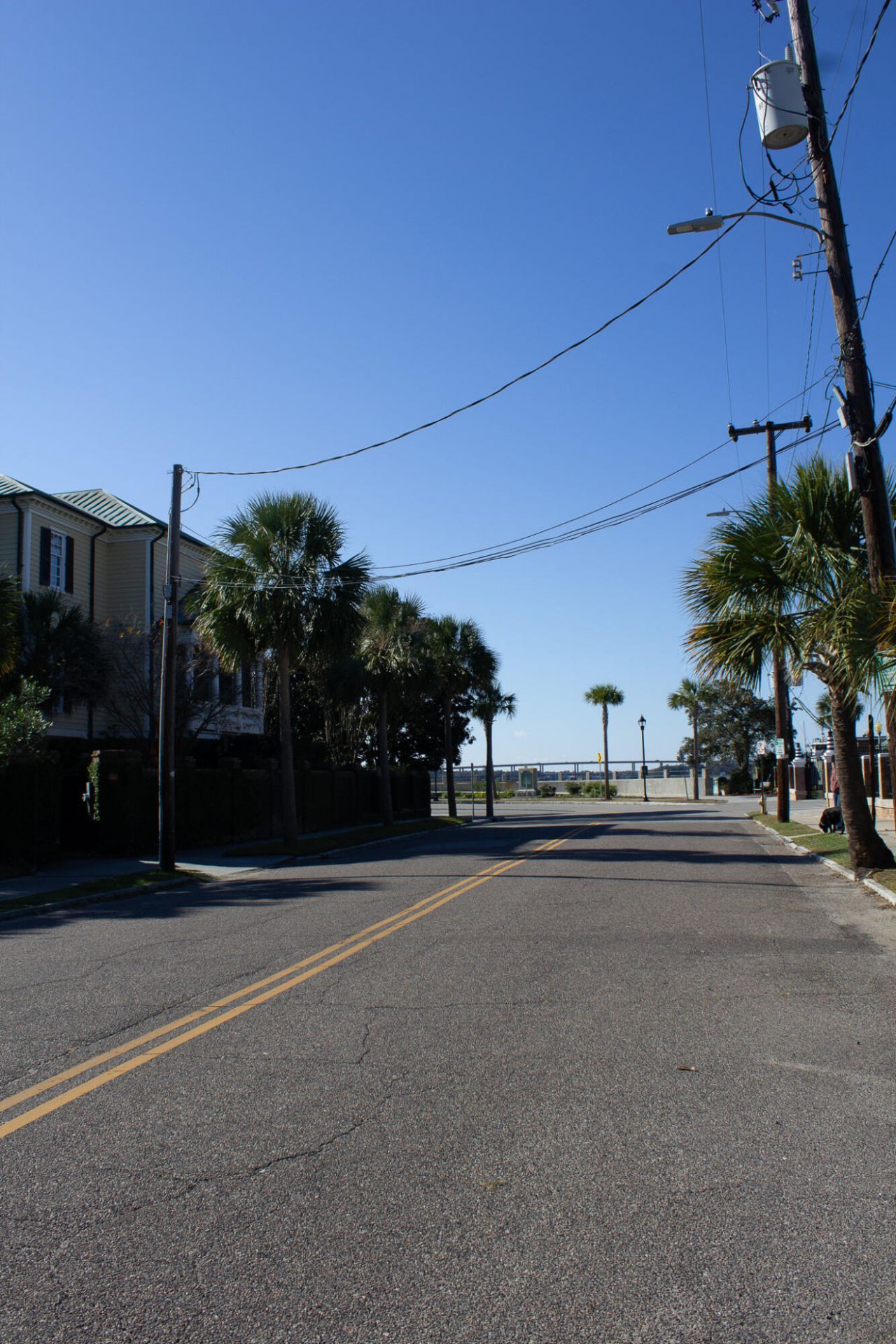 195 Tradd Street Photo 38