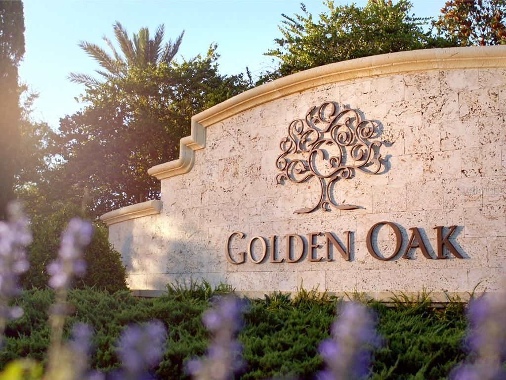 10335 Winter Sparkle Circle, Golden Oak, FL 32836 Photo