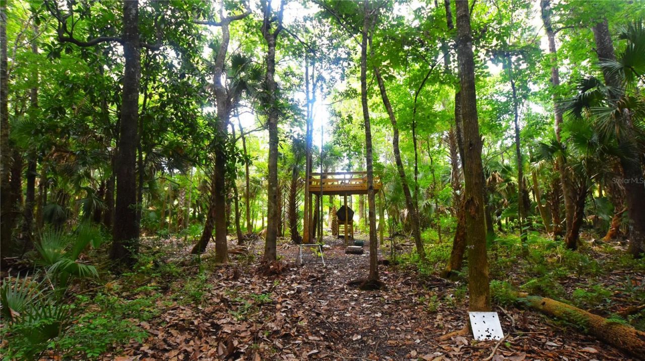 Volco Road , Edgewater, FL 32141 Photo