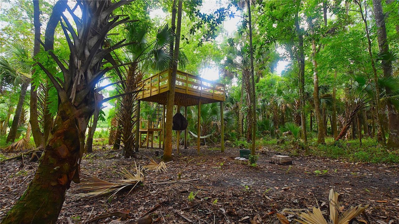Volco Road , Edgewater, FL 32141 Photo