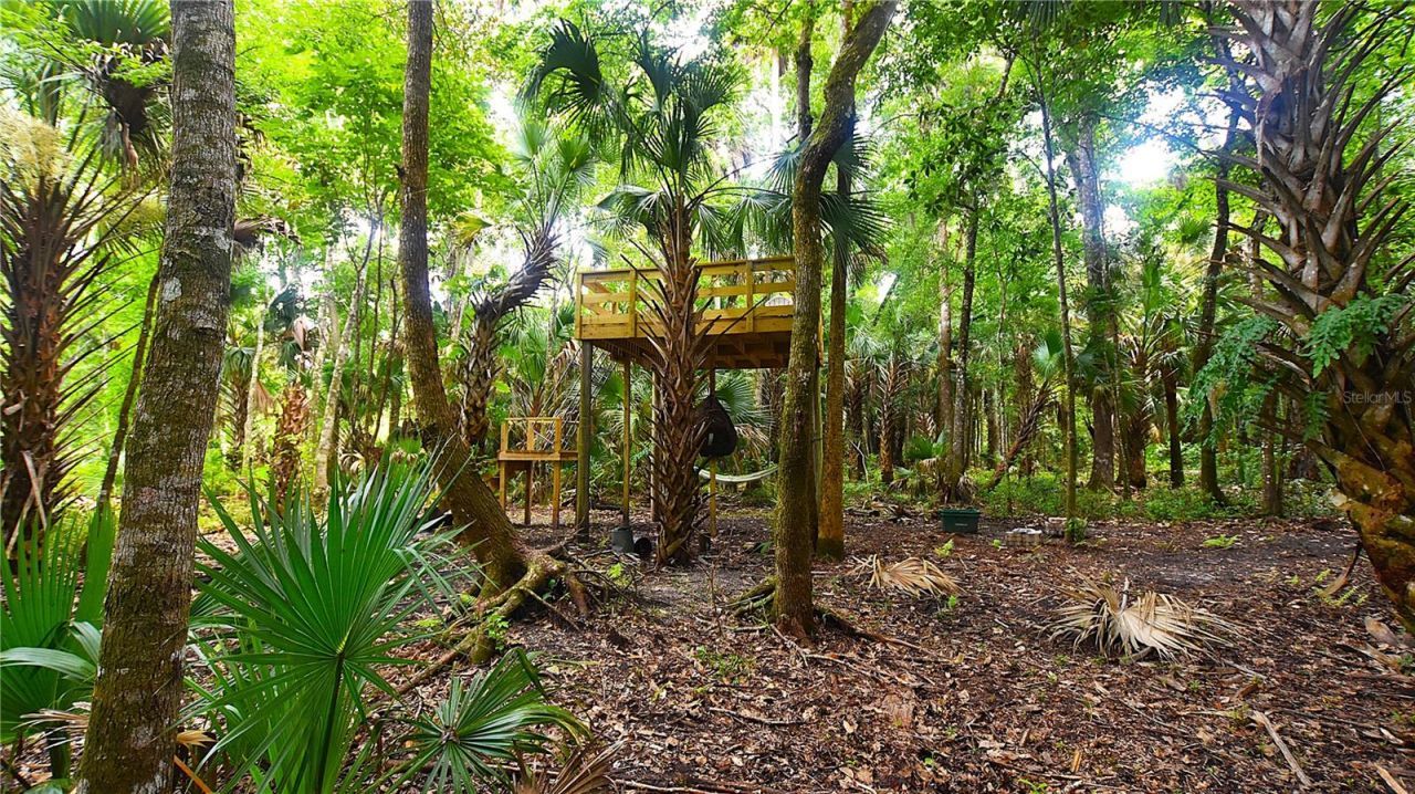 Volco Road , Edgewater, FL 32141 Photo