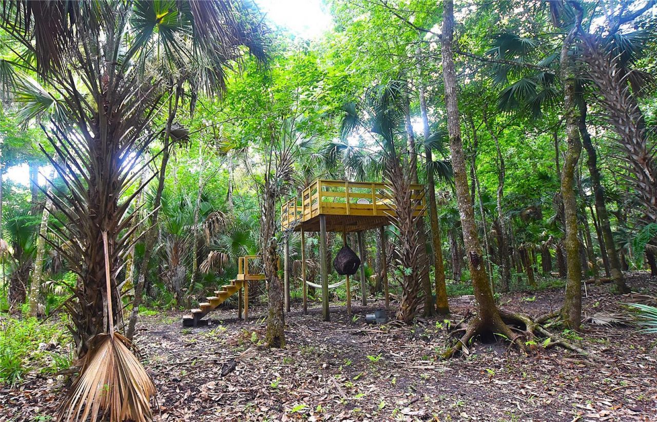 Volco Road , Edgewater, FL 32141 Photo