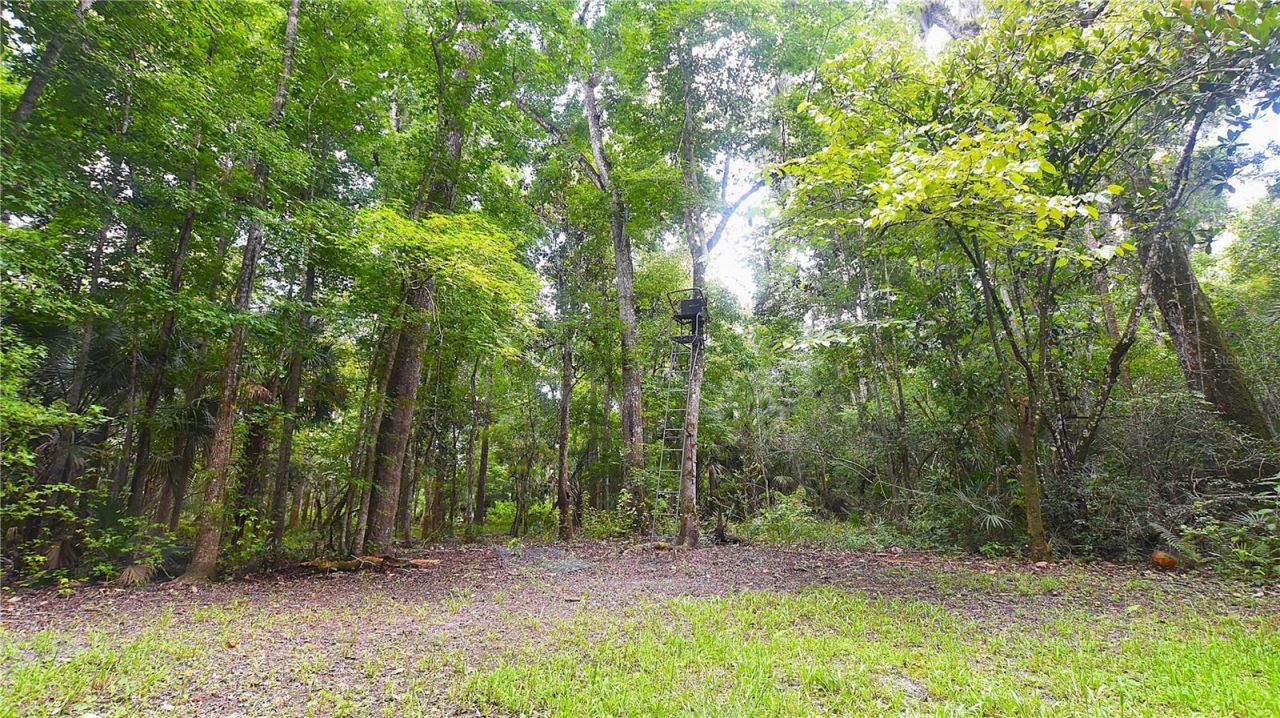 Volco Road , Edgewater, FL 32141 Photo