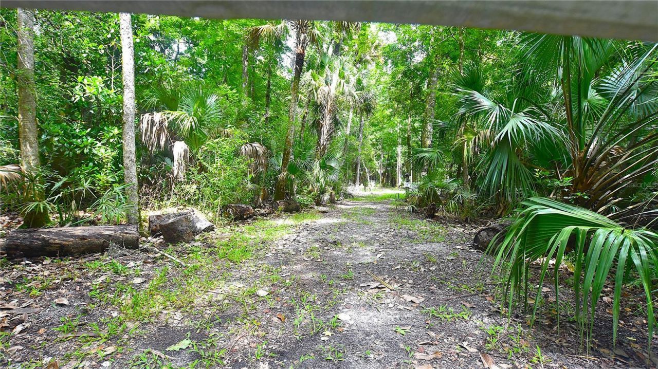 Volco Road , Edgewater, FL 32141 Photo