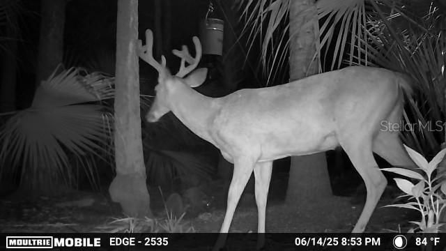 Volco Road , Edgewater, FL 32141 Photo