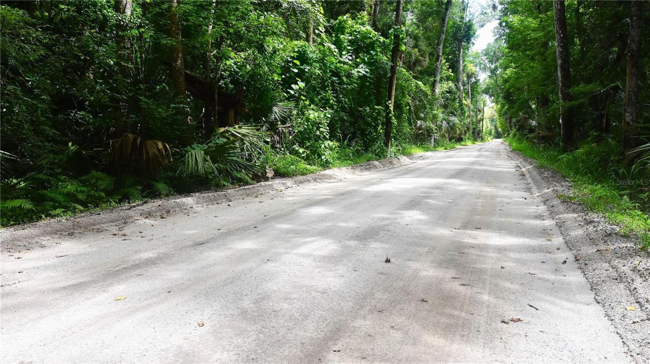 Volco Road , Edgewater, FL 32141 Photo