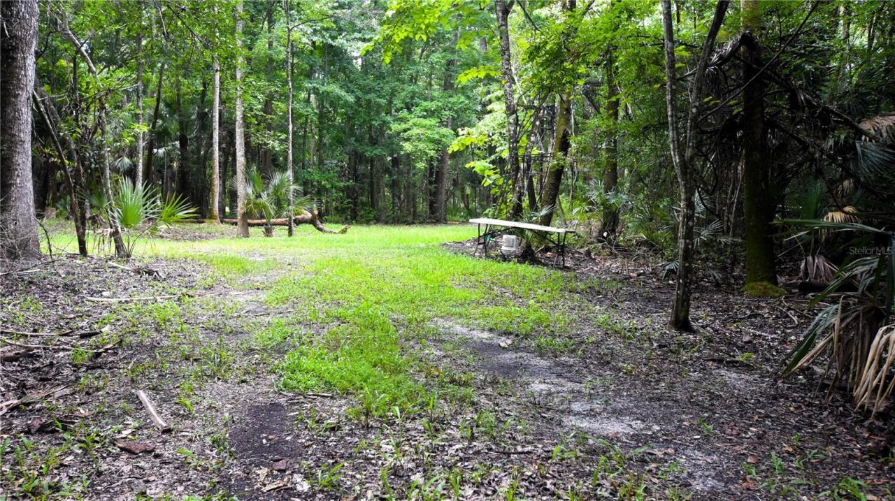 Volco Road , Edgewater, FL 32141 Photo