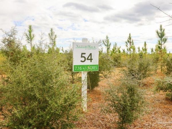 Lot 54 South Timber Ln, Jay, FL 32565