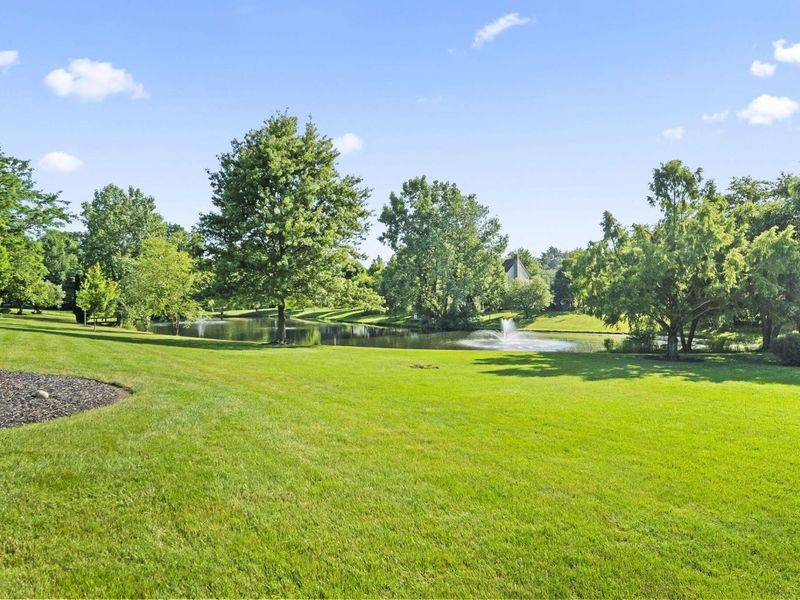 6359 Buckman Street, Lewis Center, OH 43035 Photo 58