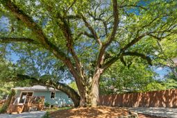 5114 Braddock Avenue photo 4