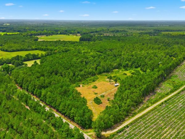TBD Williams Hill Rd., Hemingway, SC 29554