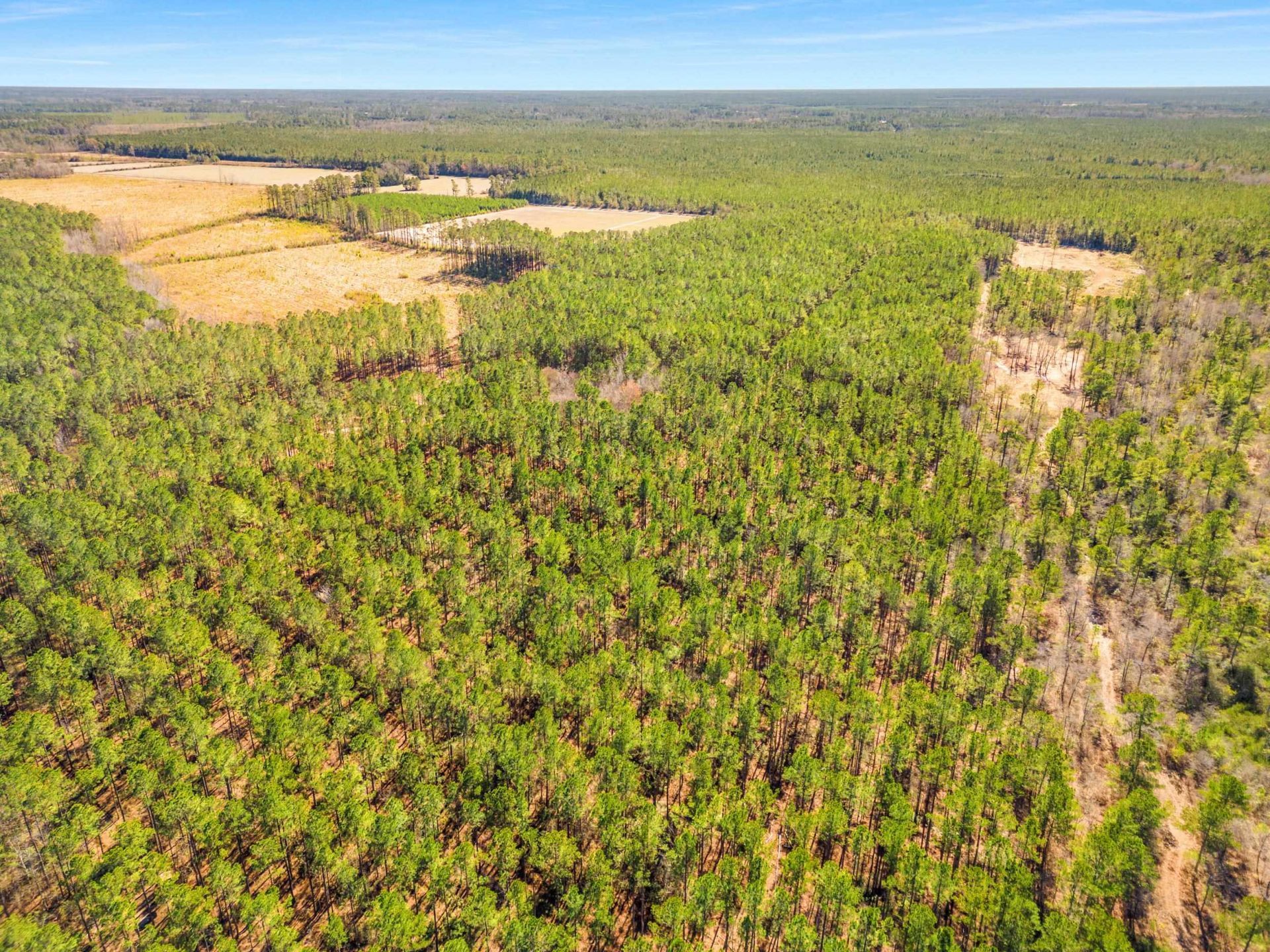 Tbd Williams Hill Rd. Photo 13