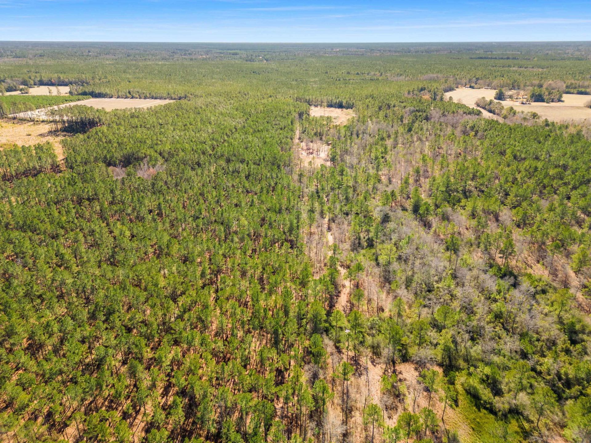 Tbd Williams Hill Rd. Photo 18