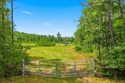 Tbd Williams Hill Rd. photo 4