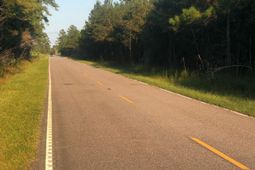 Tbd Williams Hill Rd. photo 4