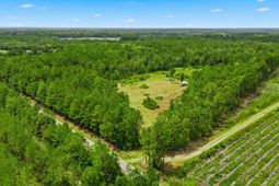 Tbd Williams Hill Rd. photo 4
