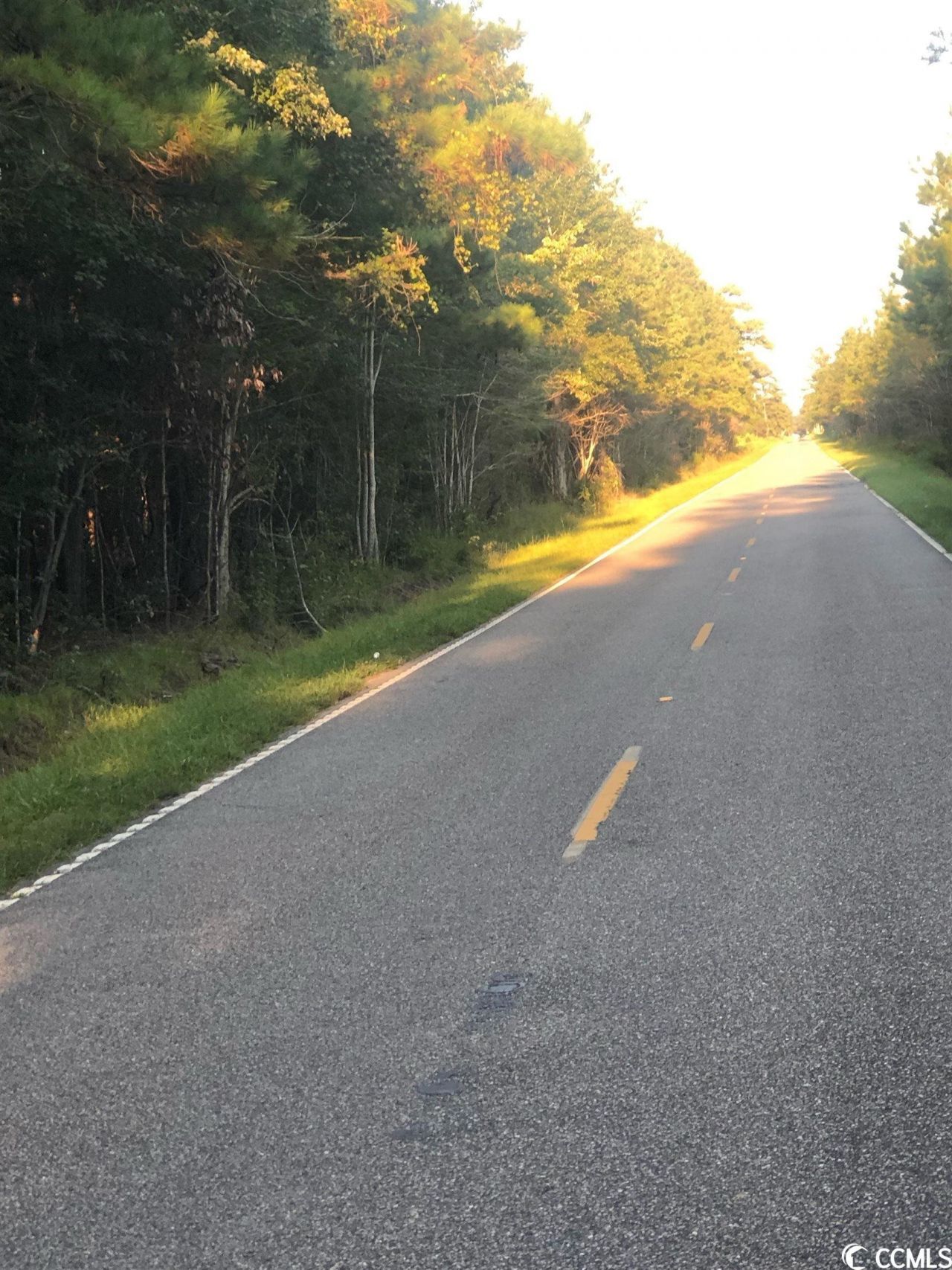 Tbd Williams Hill Rd. Photo 5