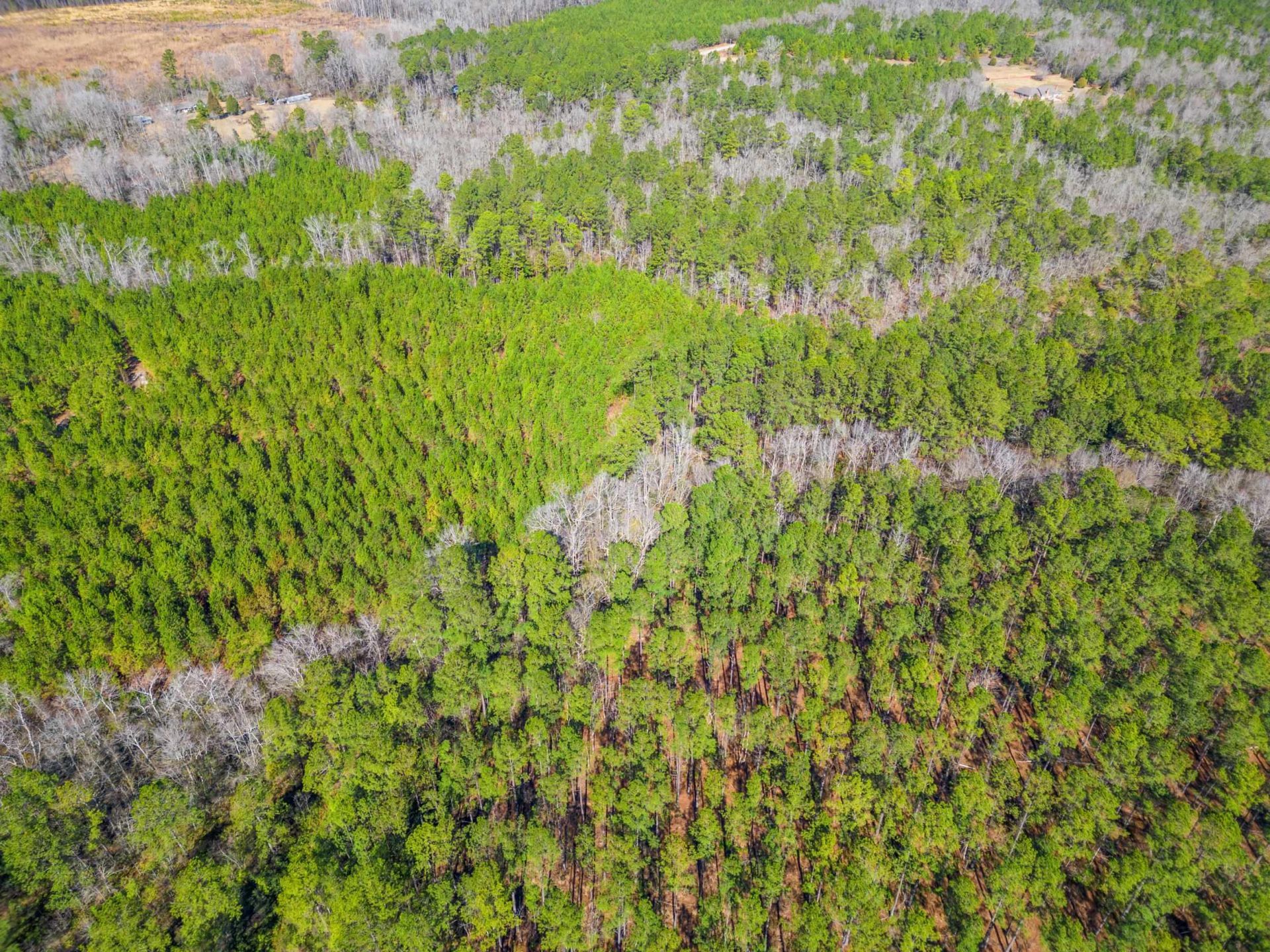 Tbd Williams Hill Rd. Photo 6