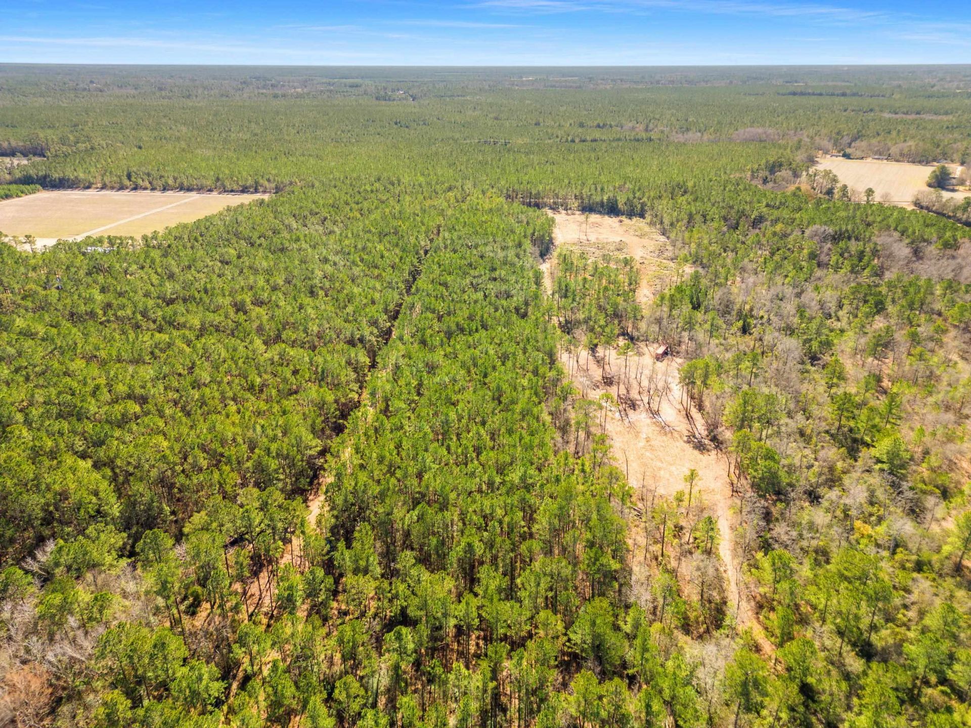 Tbd Williams Hill Rd. Photo 8