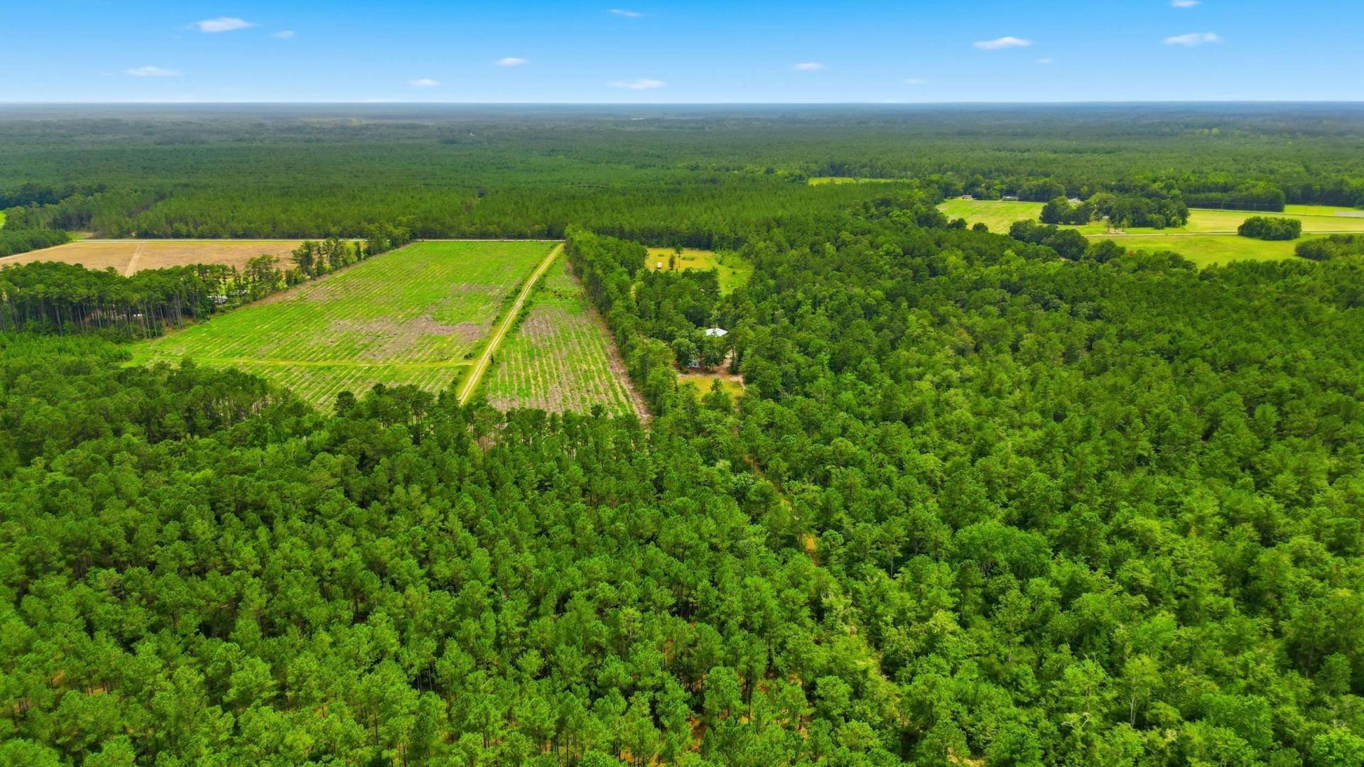Tbd Williams Hill Rd. Photo 8