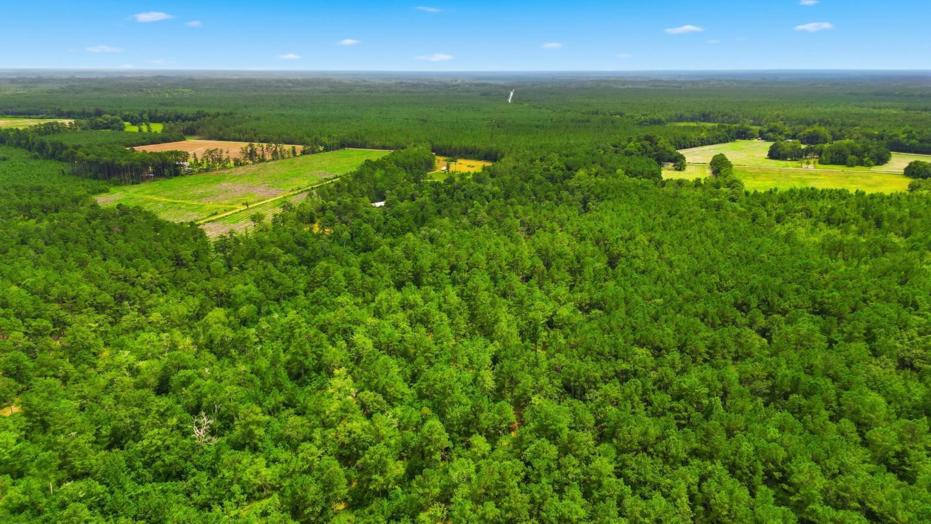 Tbd Williams Hill Rd. Photo 9