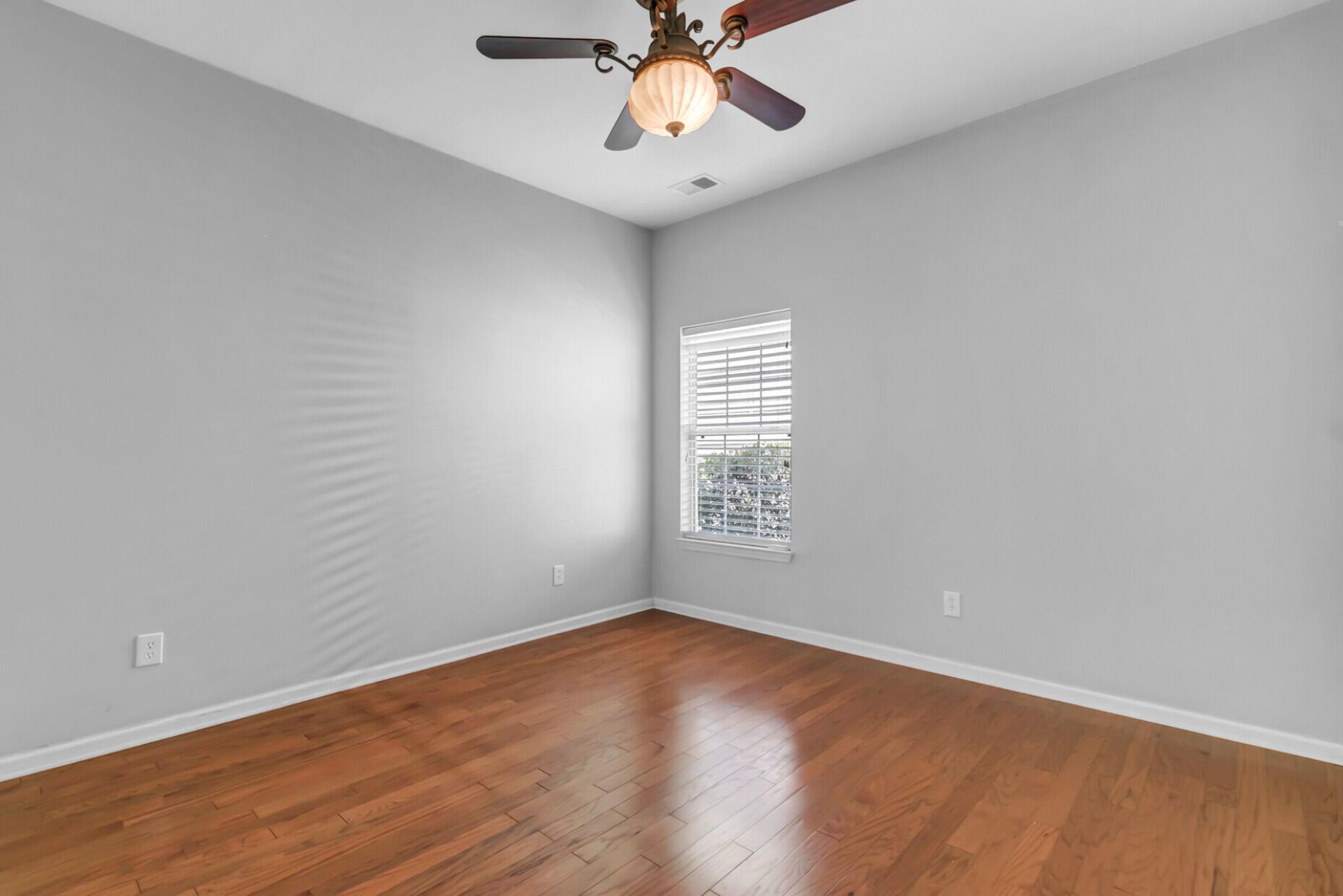 116 Carolinian Drive Photo 24