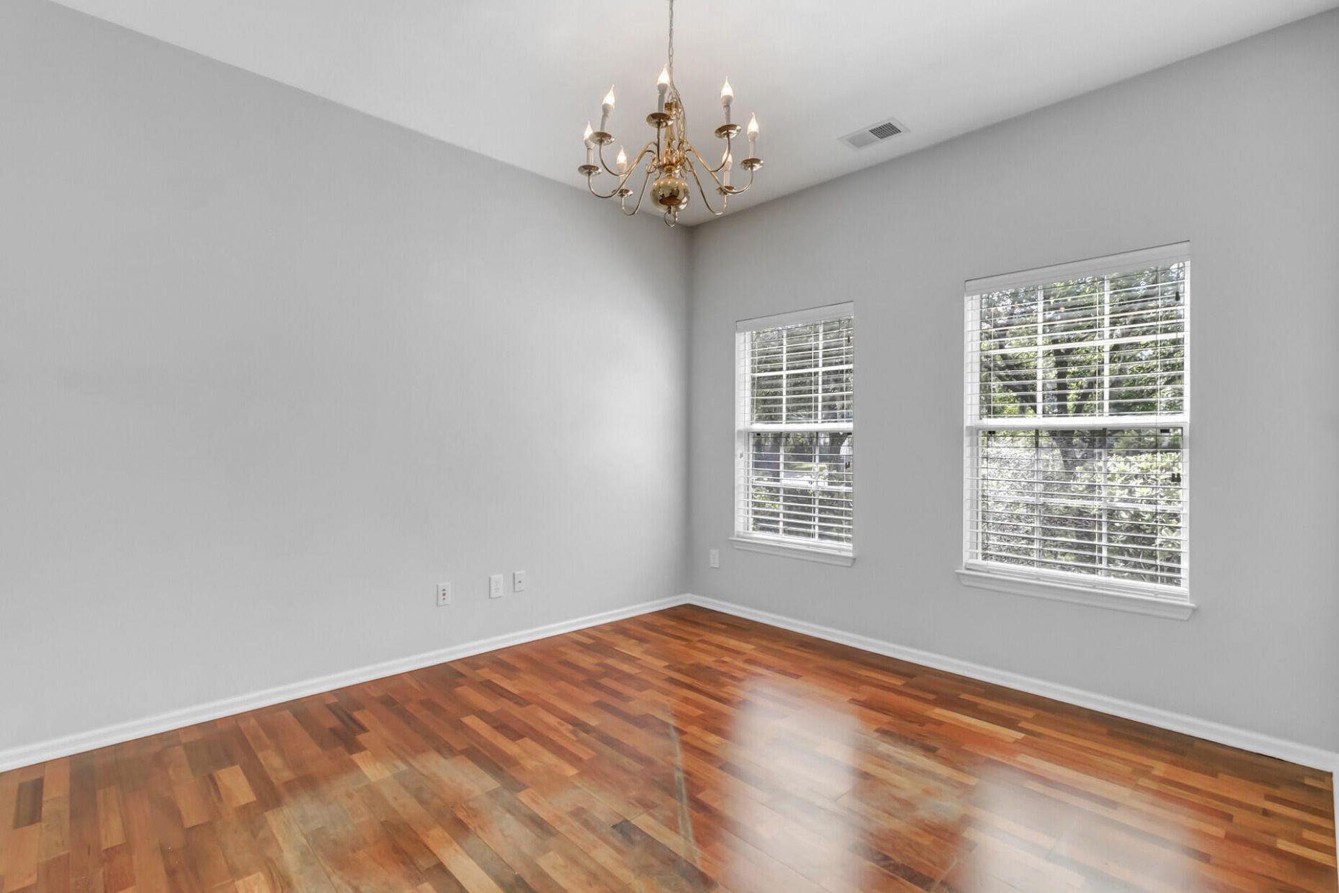 116 Carolinian Drive Photo 6