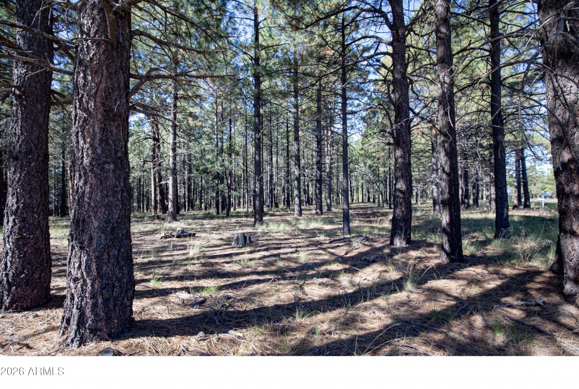 1924 Quilt Country Drive, Lot #781, Forest Lakes, AZ 85931 Main Photo