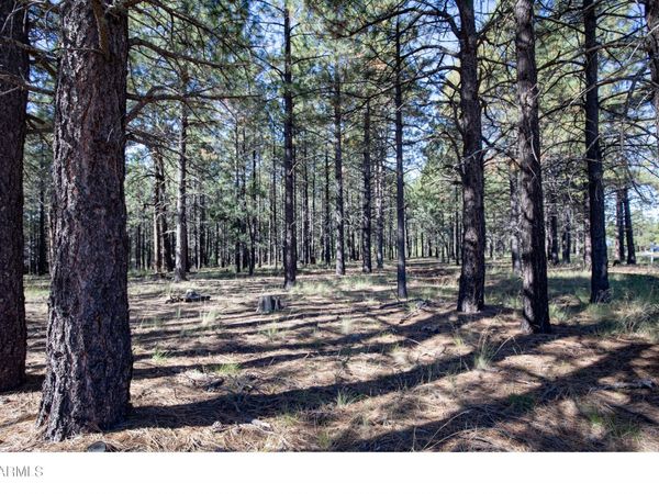 1924 QUILT COUNTRY Drive, Unit 781, Forest Lakes, AZ 85931