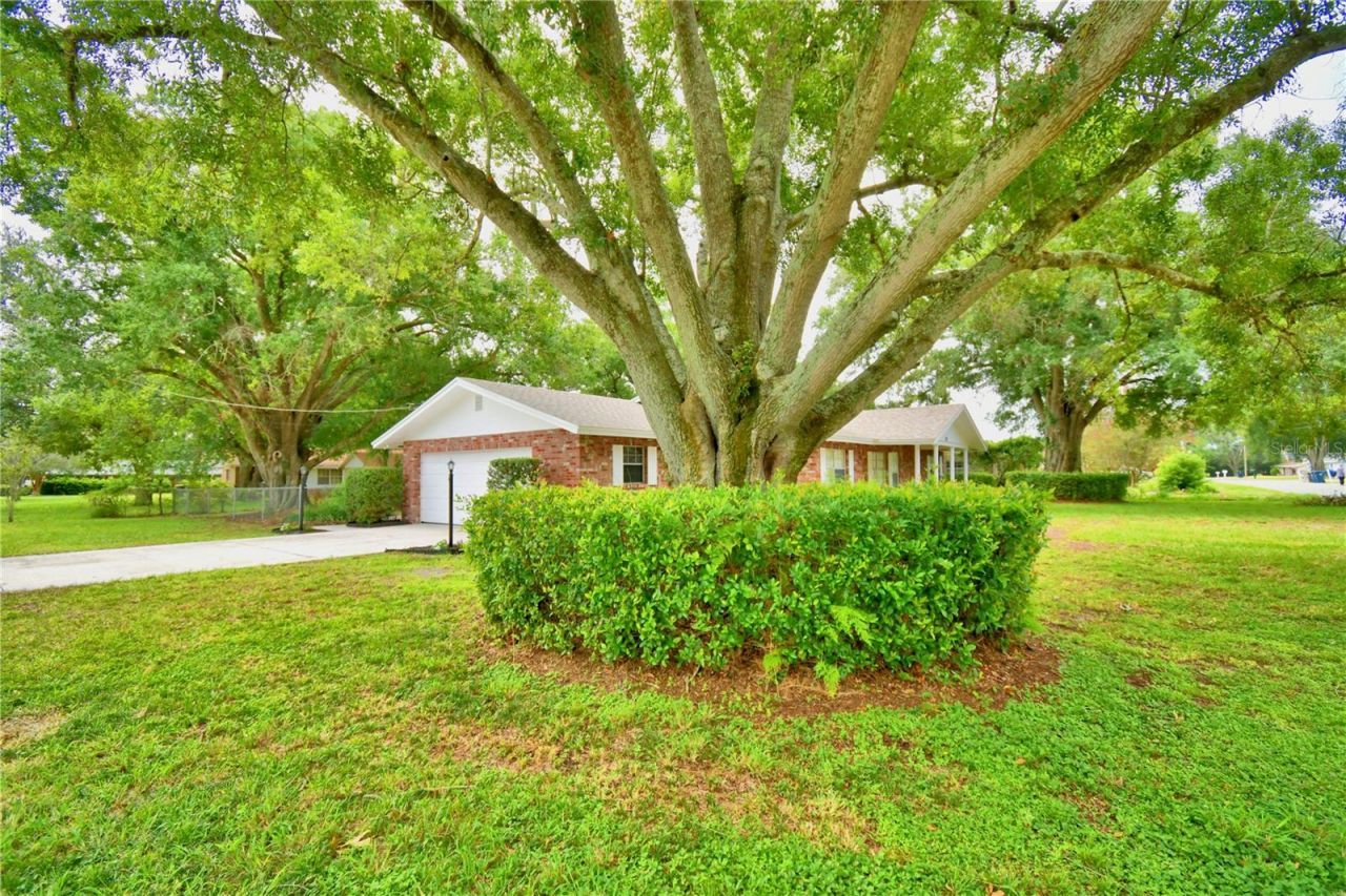 1212 Lynn Avenue, Auburndale, FL 33823 Photo