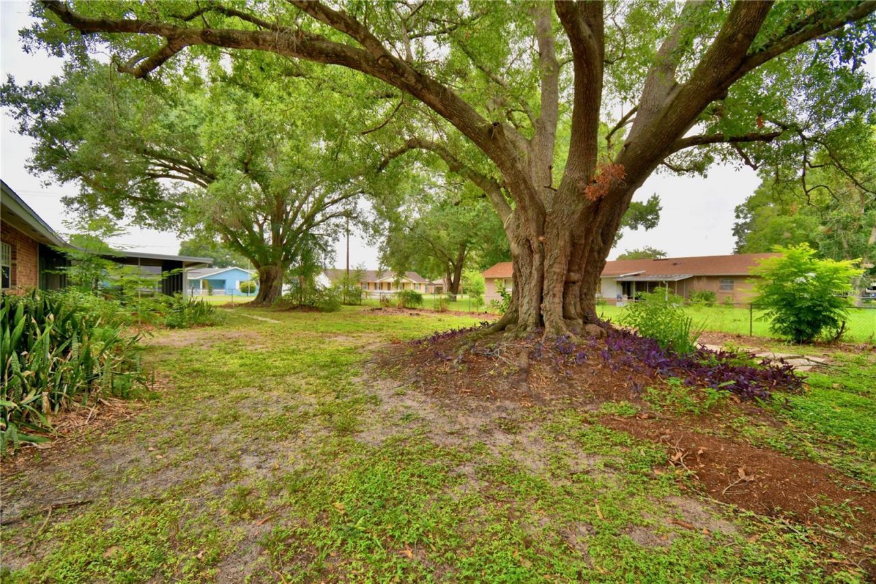 1212 Lynn Avenue, Auburndale, FL 33823 Photo
