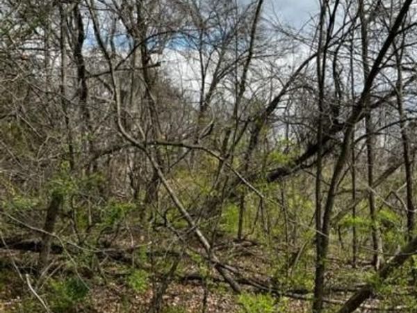 HILL ROAD, HYATTSVILLE, MD 20785