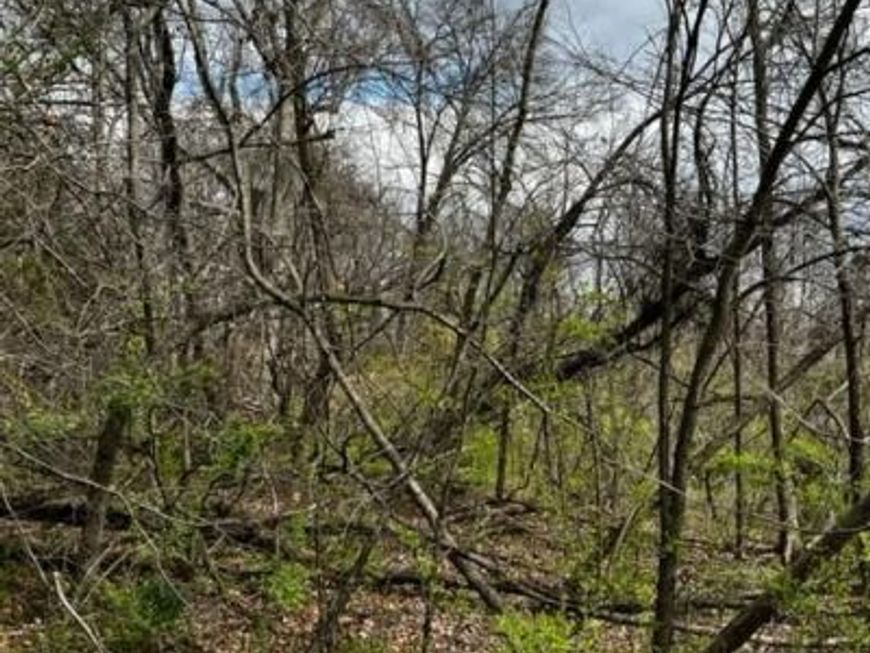 Hill Road, Hyattsville, MD 20785 Main Photo