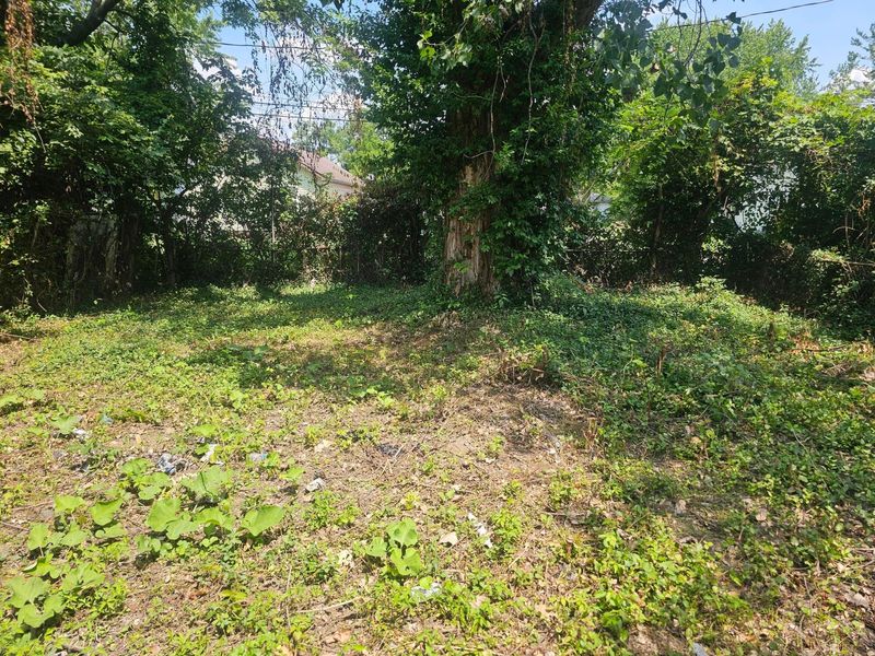 2038 E Hudson Street , Columbus, OH 43211 Photo 2