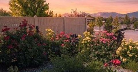 1572 Amber Rose Drive, Minden, NV 89423 Photo