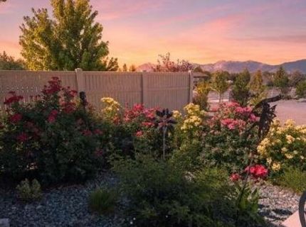 1572 Amber Rose Drive, Minden, NV 89423 Photo