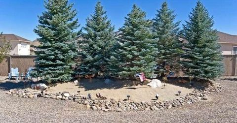 1572 Amber Rose Drive, Minden, NV 89423 Photo