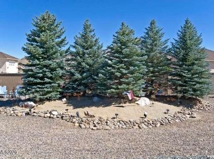 1572 Amber Rose Drive, Minden, NV 89423 Photo