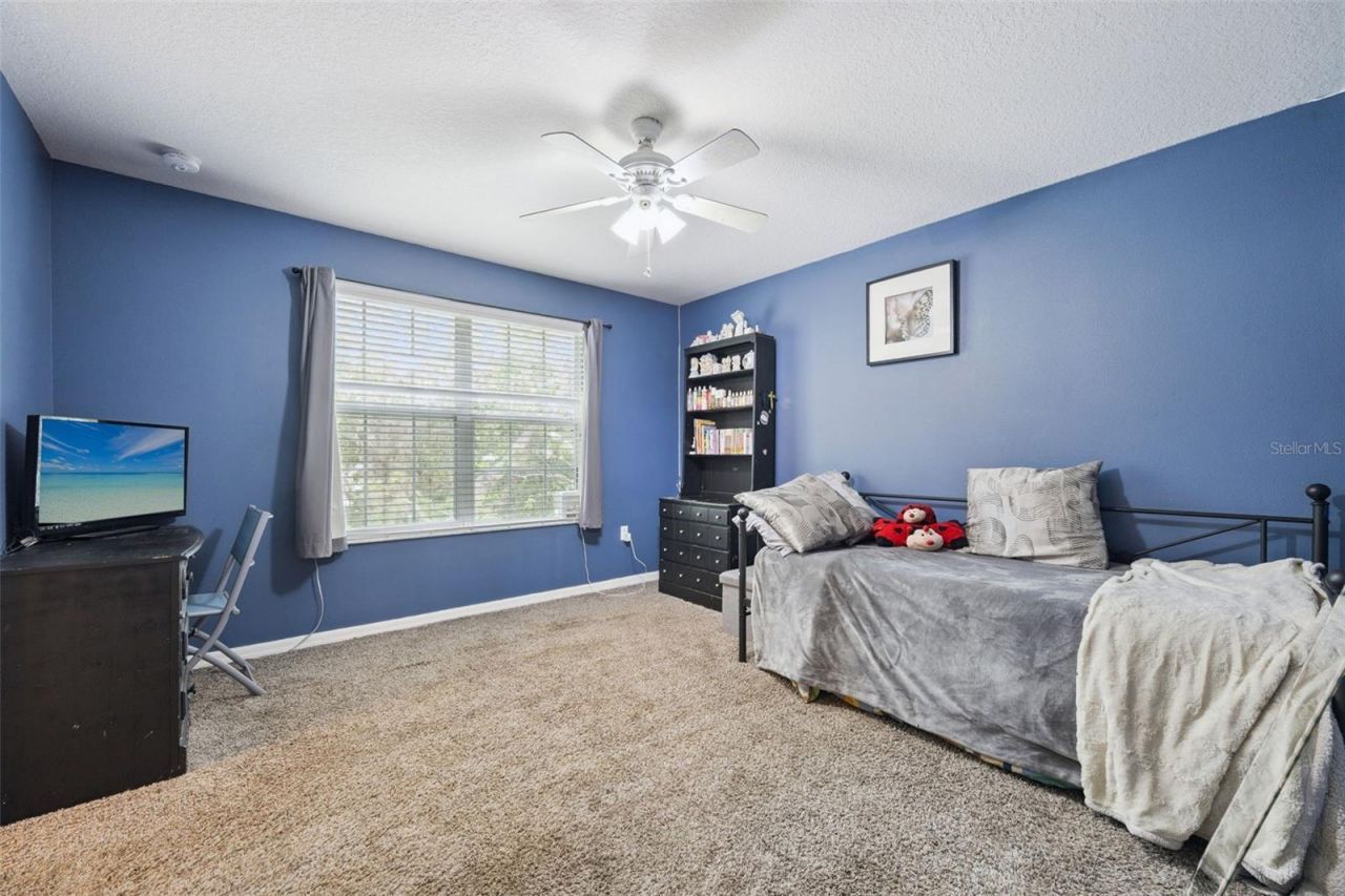 381 Misty Oaks Lane, Eustis, FL 32736 Photo