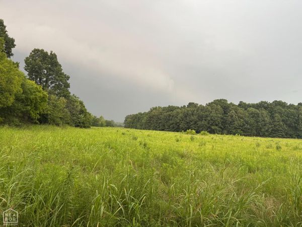 0 County Road 352, Piggott, AR 72454