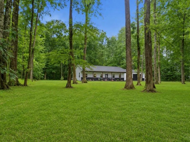 3314 Snider Malott Road, Sterling Township, OH 45154 Photo 28