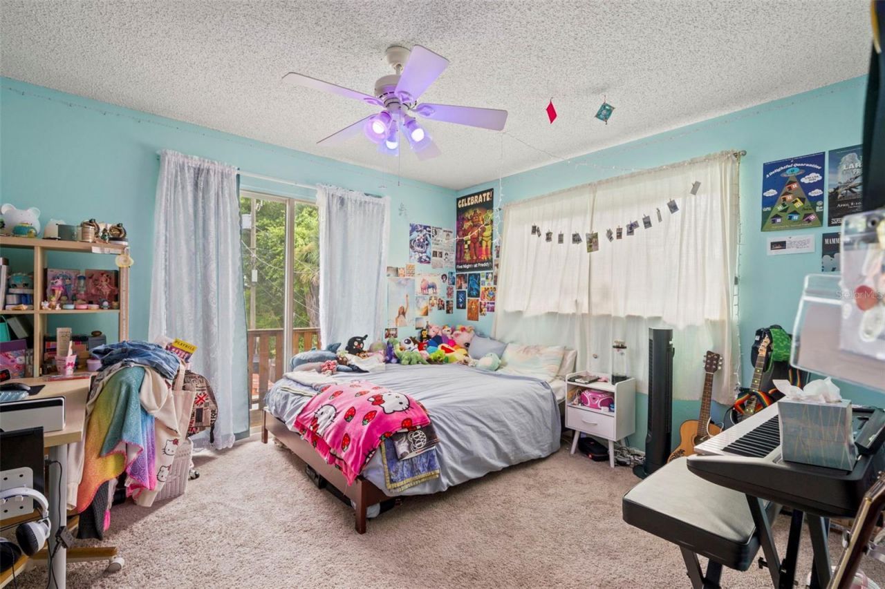 2355 14th Avenue N, Saint Petersburg, FL 33713 Photo