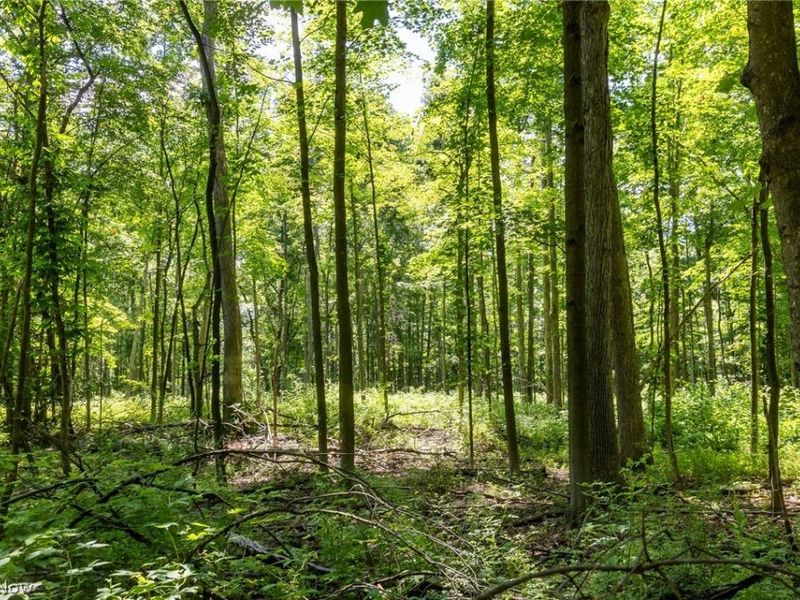 Wayland Road, Diamond, OH 44412 Photo 10