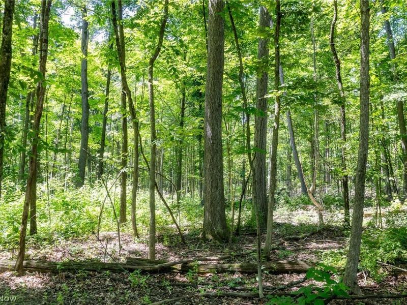 Wayland Road, Diamond, OH 44412 Photo 11