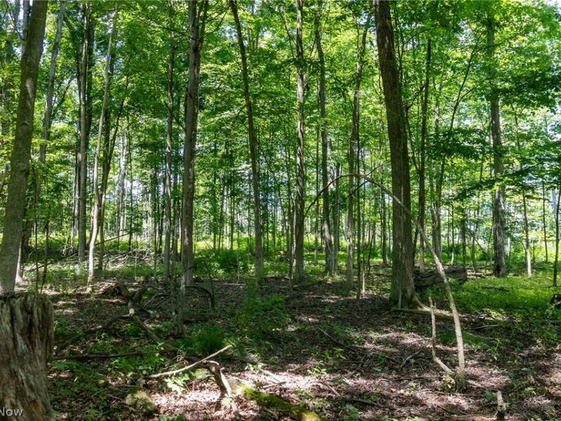 Wayland Road, Diamond, OH 44412 Photo 12