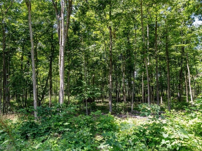 Wayland Road, Diamond, OH 44412 Photo 13