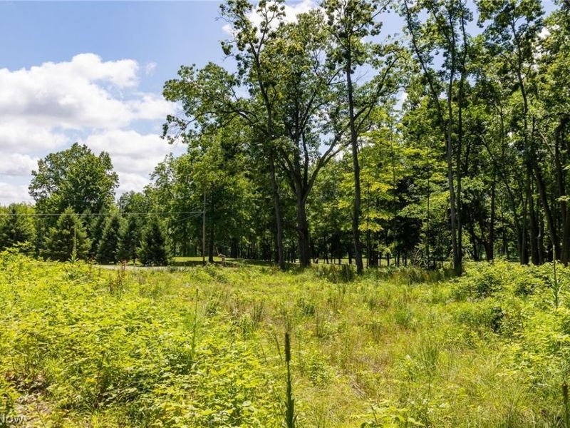 Wayland Road, Diamond, OH 44412 Photo 14