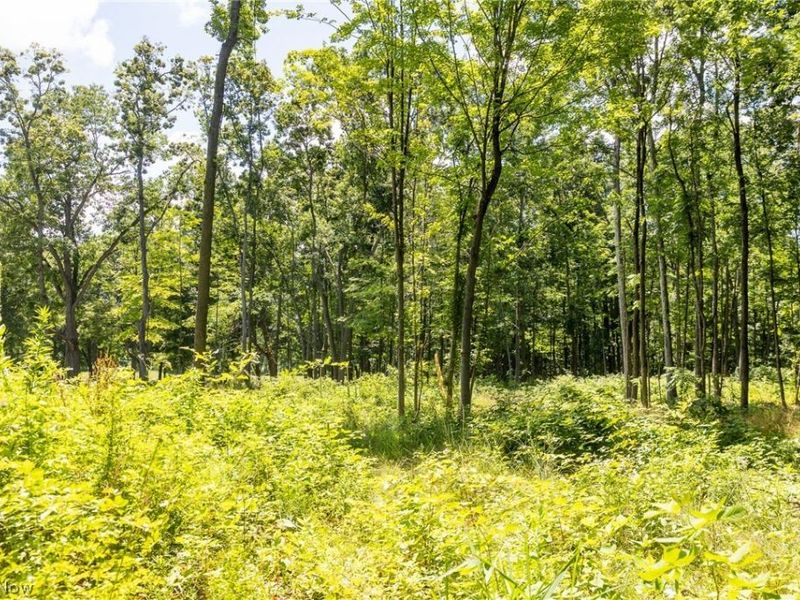 Wayland Road, Diamond, OH 44412 Photo 15
